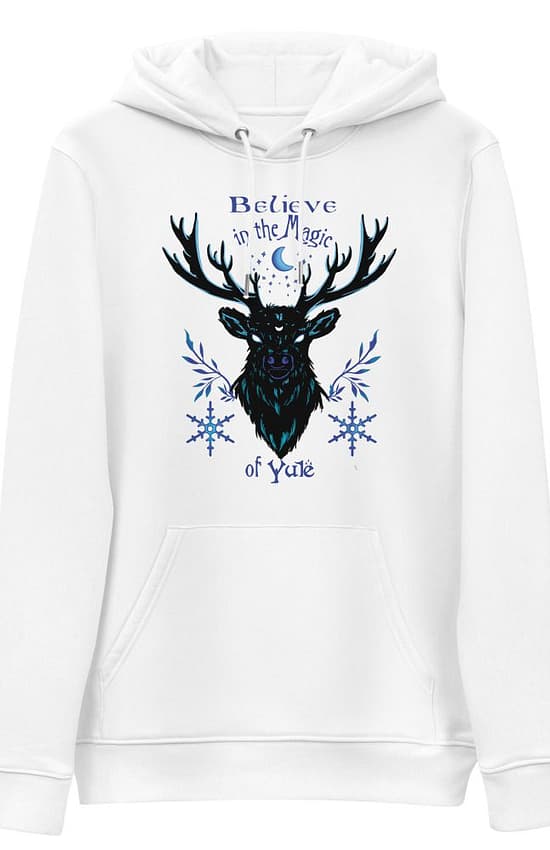 Believe in the Magic of Yule Men'sessential eco hoodie